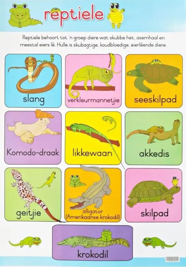 Reptiele - Wall Chart - Laminated (+- 480X680mm)