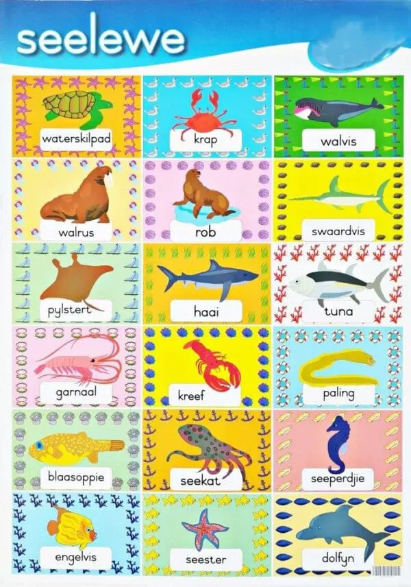See lewe Wall Chart - (+- 480X680mm) Clearance Sale