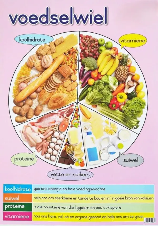 Voedsel Wiel - Afrikaans - Wall Chart - Clearance Sale