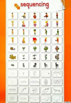 Sequencing Wall Chart - (+- 480X680mm) – Clearance Sale!!!