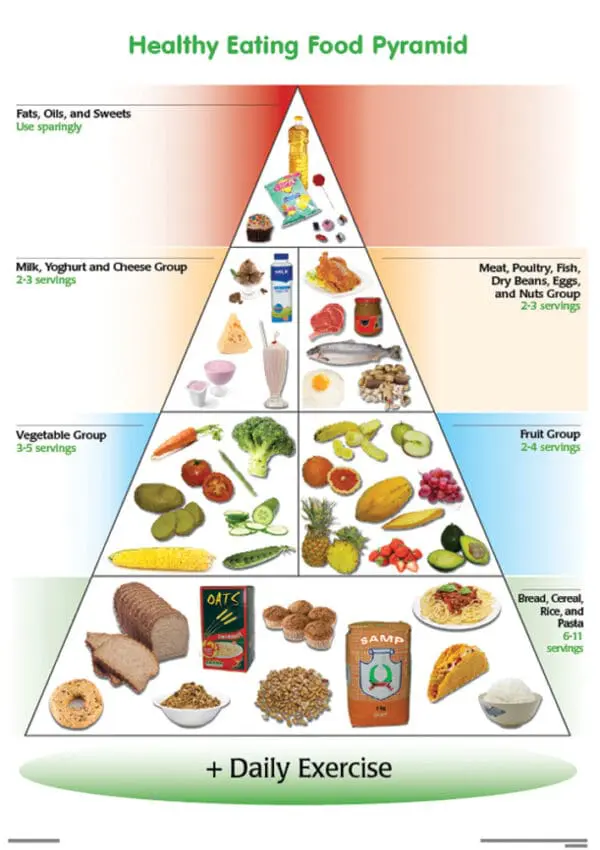 Healthy Eating Food Pyramid - Wall Chart – Clearance Sale!!! (used for display)