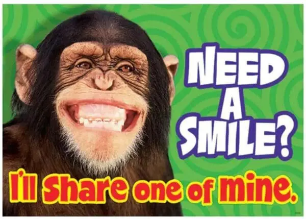 Motivational Poster - Need A Smile?...