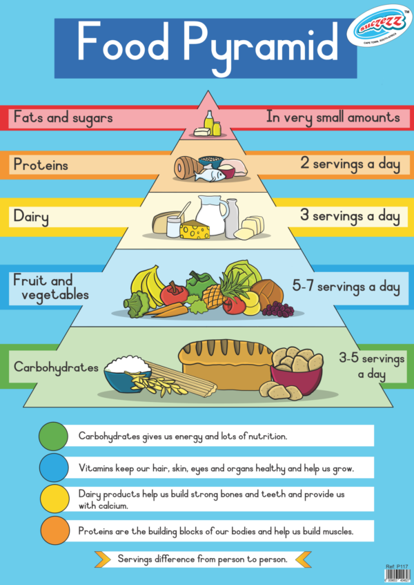 Food Pyramid - Wall Charts - Laminated (+- 480X680mm)