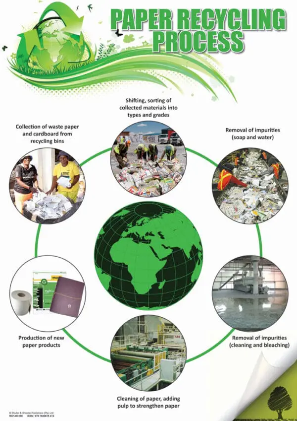 Paper Recycling Process - Wall Chart