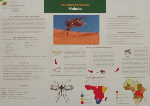 Malaria - Wall Chart - Laminated - Clearance Sale