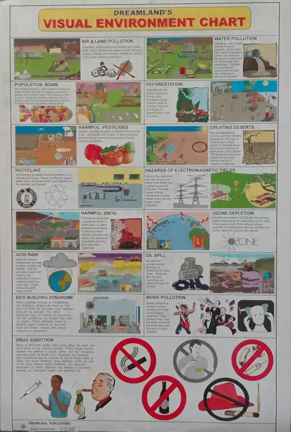 Visual Environment Chart - Clearance Sale