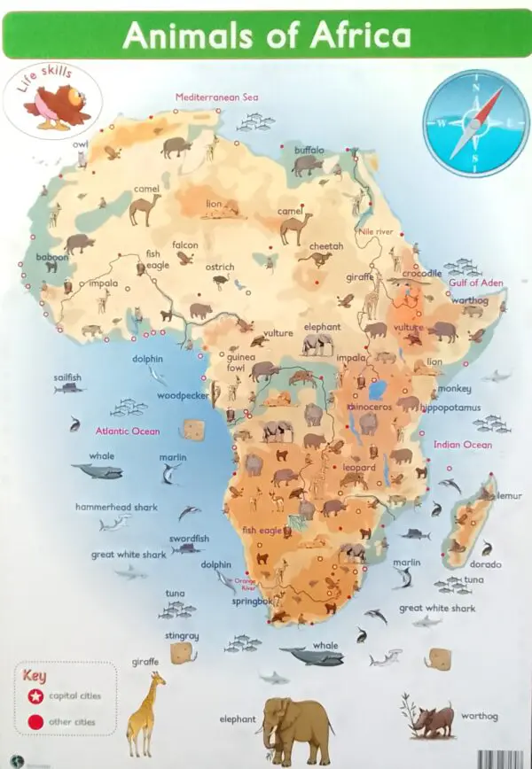 Animals of Africa - Wall Chart - Laminated 76cm x 52cm