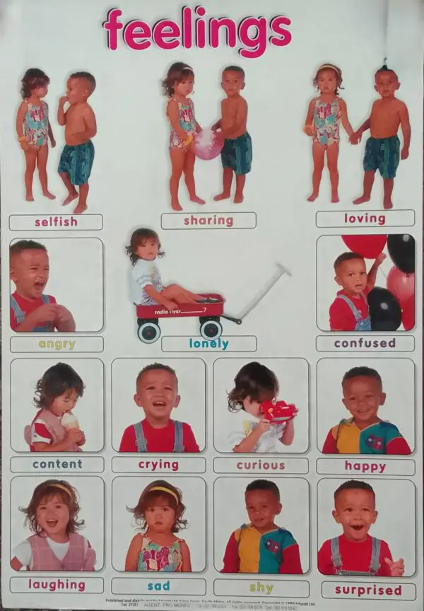 Feelings - Wall Chart – Laminated 76cm x 52cm