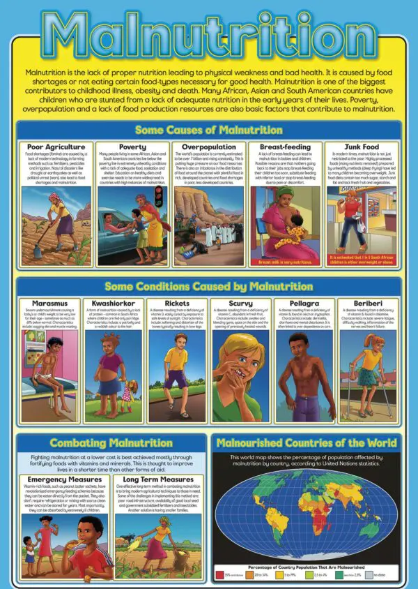 Malnutrition - Wall Chart - Laminated - 76cm x 52cm
