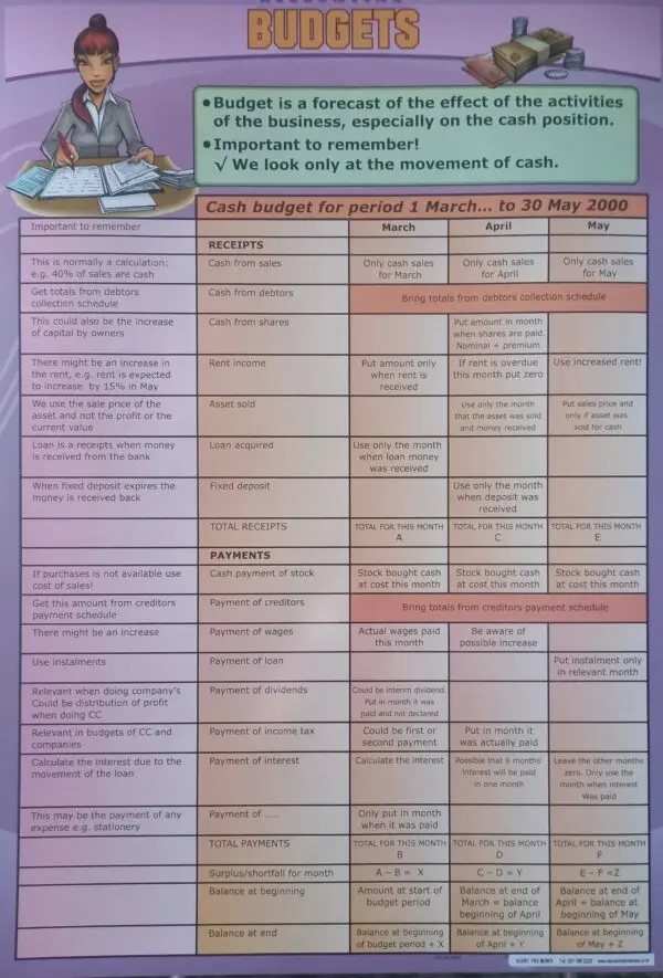 Budgets - Accounting Wall Chart – A1 Laminated