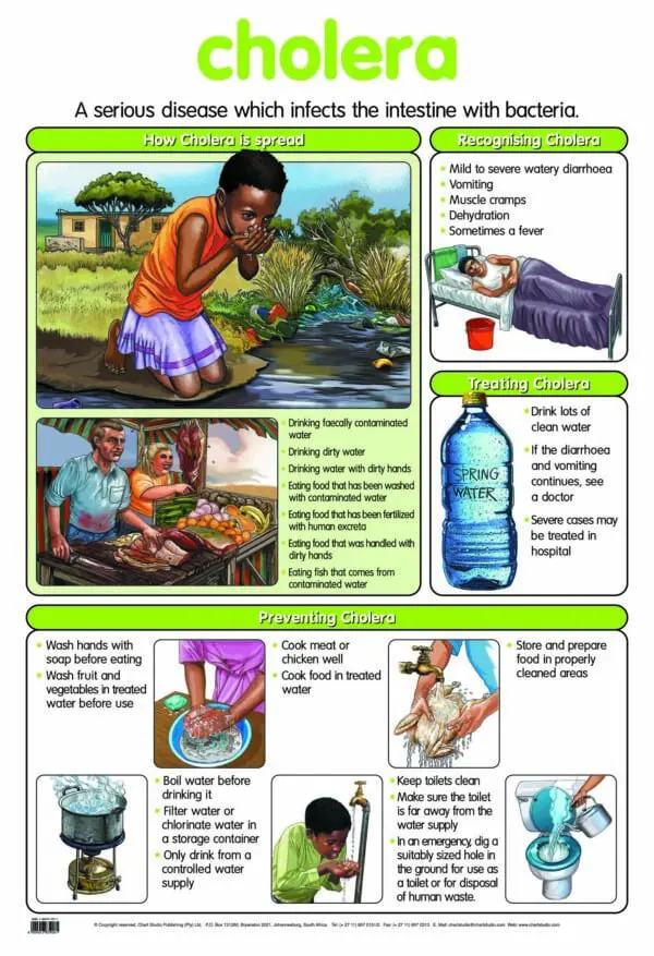Cholera - Wall Chart – Laminated 76cm x 52cm