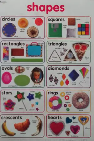 Shapes - Wall Chart