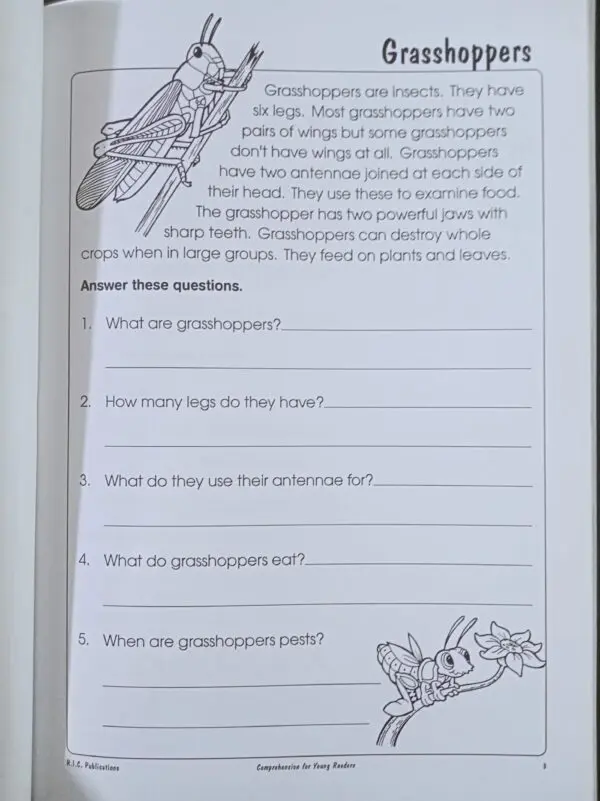 Comprehension Stories for Young Readers - Image 3