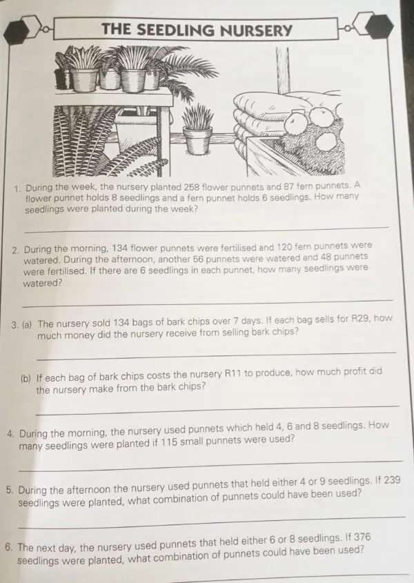Problem-solving in mathematics Book F – Ages 10–11 - Image 4