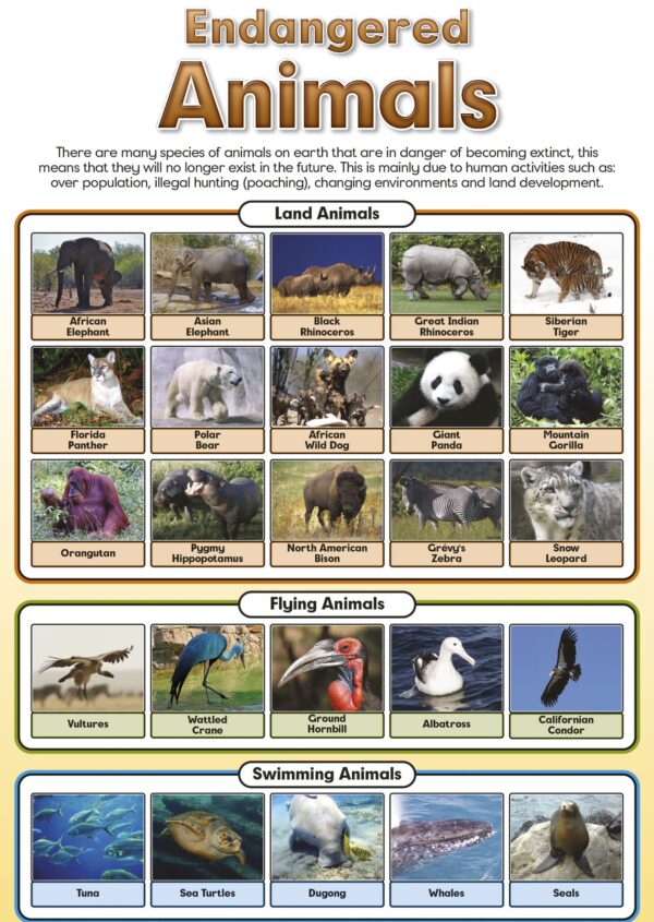 Endangered Animals - Wall Chart - Laminated 76cm x 52cm