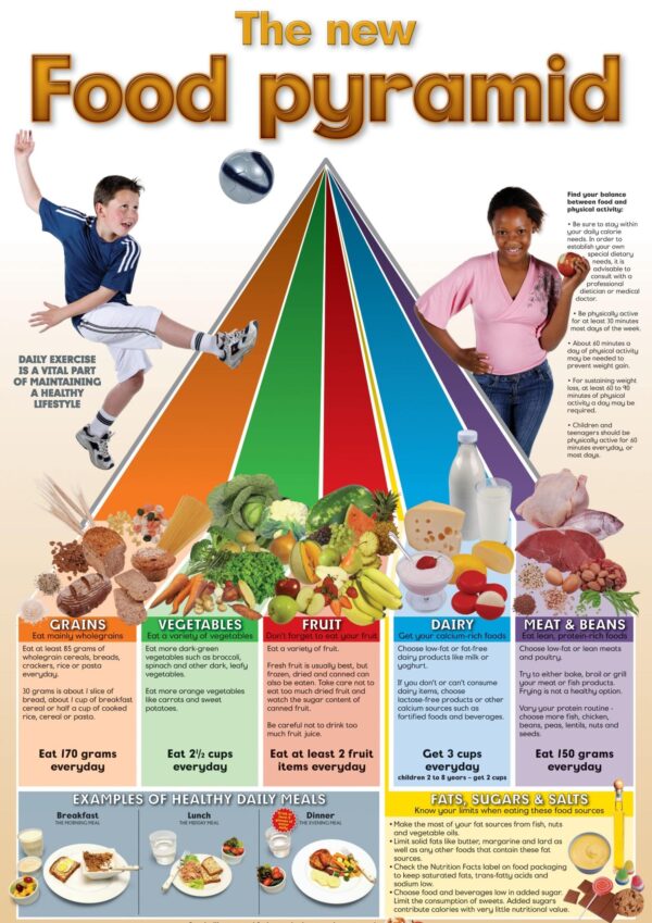 Food Pyramid - Wall Chart – New