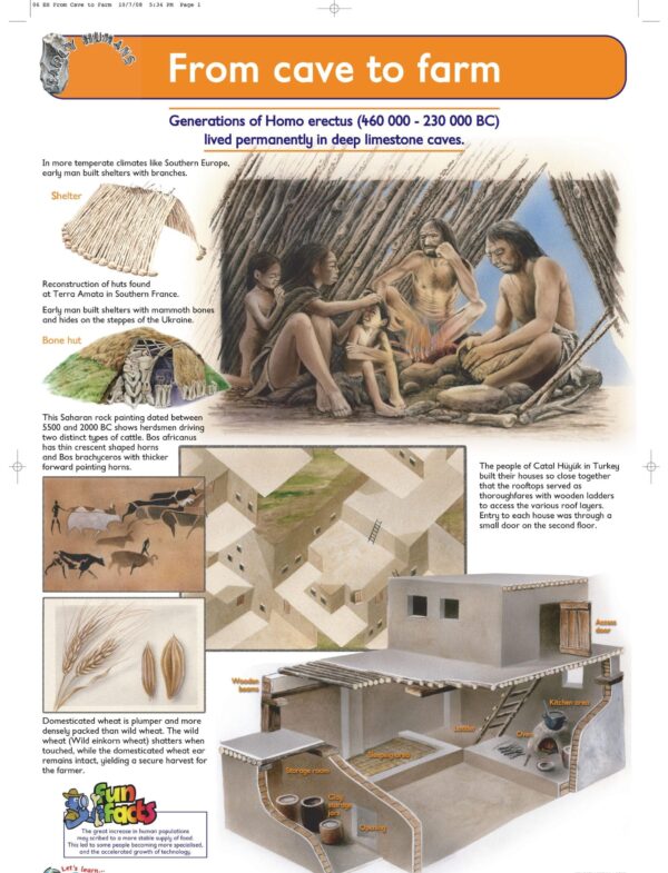 From Cave to Farm - Wall Chart