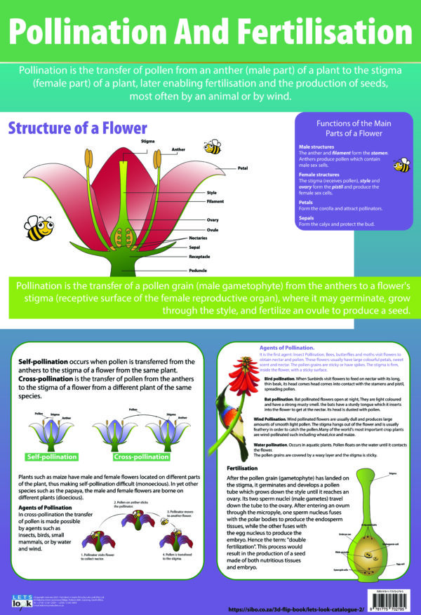 Pollination & Fertilisation - Wall Chart - 76cm x 52cm